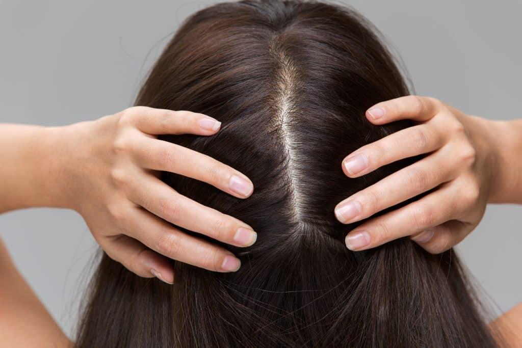 Scalp Care treatments for ultimate revitalisation. Products to Nourish soothe and condition your scalps